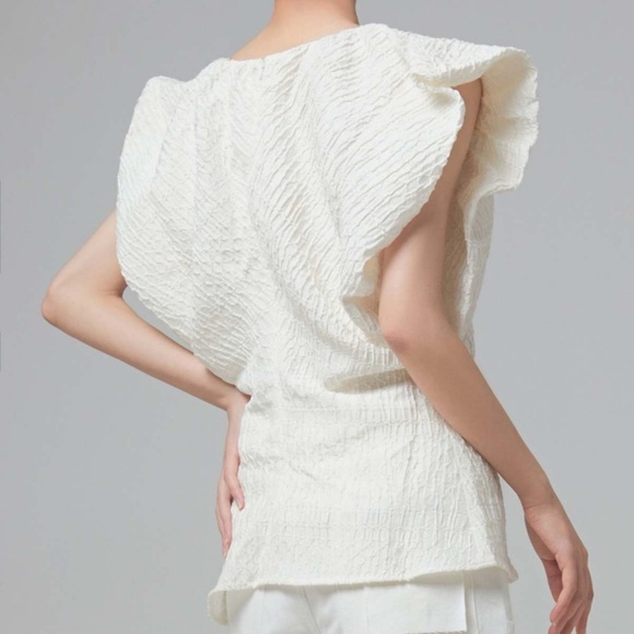 CO Avery Linen Crepe Pleated Cap Sleeve Textured Jacquard V Neck Blouse Top NEW - Picture 10 of 16